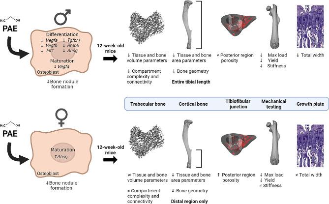 https://cdn.ncbi.nlm.nih.gov/pmc/blobs/31a3/11186175/8d3c8f553ff7/13293_2024_626_Fig8_HTML.jpg