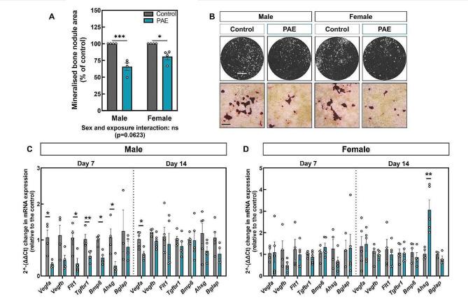 https://cdn.ncbi.nlm.nih.gov/pmc/blobs/31a3/11186175/9228579dd917/13293_2024_626_Fig2_HTML.jpg