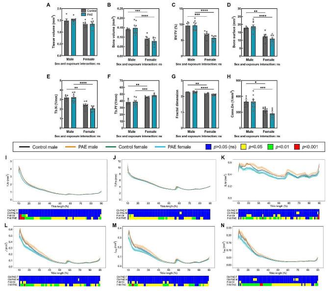 https://cdn.ncbi.nlm.nih.gov/pmc/blobs/31a3/11186175/a1294c0dba8c/13293_2024_626_Fig7_HTML.jpg