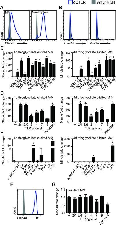 https://cdn.ncbi.nlm.nih.gov/pmc/blobs/31a4/4833188/497678aacfa7/EJI-46-381-g003.jpg