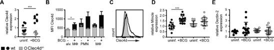https://cdn.ncbi.nlm.nih.gov/pmc/blobs/31a4/4833188/543c29708daa/EJI-46-381-g005.jpg