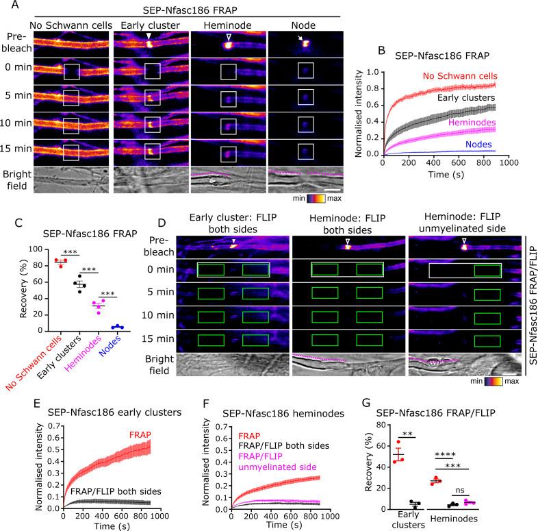 https://cdn.ncbi.nlm.nih.gov/pmc/blobs/31a4/8289411/e25a82126add/elife-68089-fig3.jpg