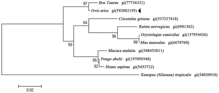 https://cdn.ncbi.nlm.nih.gov/pmc/blobs/31a5/5000604/6f338fac3855/ijms-17-01206-g003.jpg
