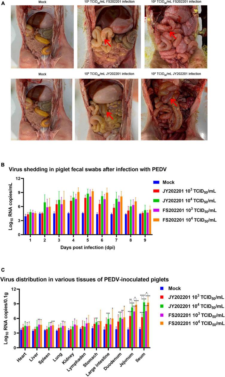 https://cdn.ncbi.nlm.nih.gov/pmc/blobs/31a8/10613466/0ff0798b4ea7/fmicb-14-1273589-g004.jpg