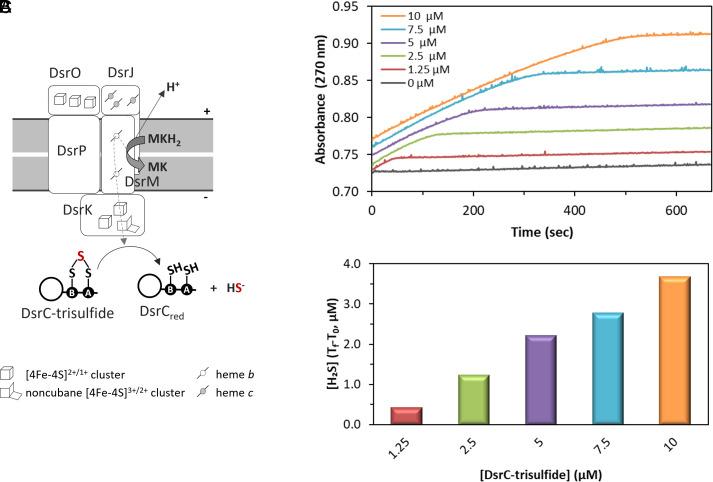 https://cdn.ncbi.nlm.nih.gov/pmc/blobs/31a8/10861901/f9eef010c618/pnas.2313650121fig05.jpg