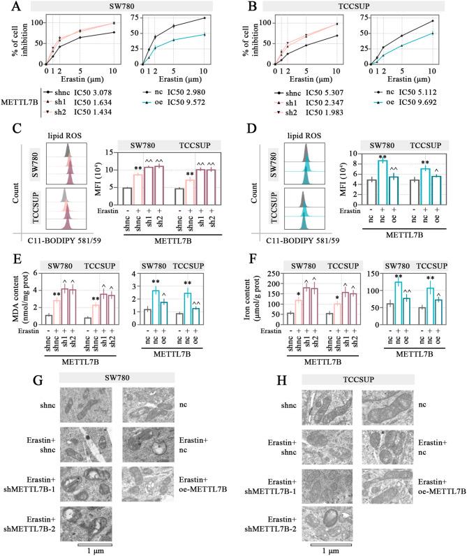 https://cdn.ncbi.nlm.nih.gov/pmc/blobs/31a9/11744867/a96f528cd366/13062_2025_597_Fig3_HTML.jpg