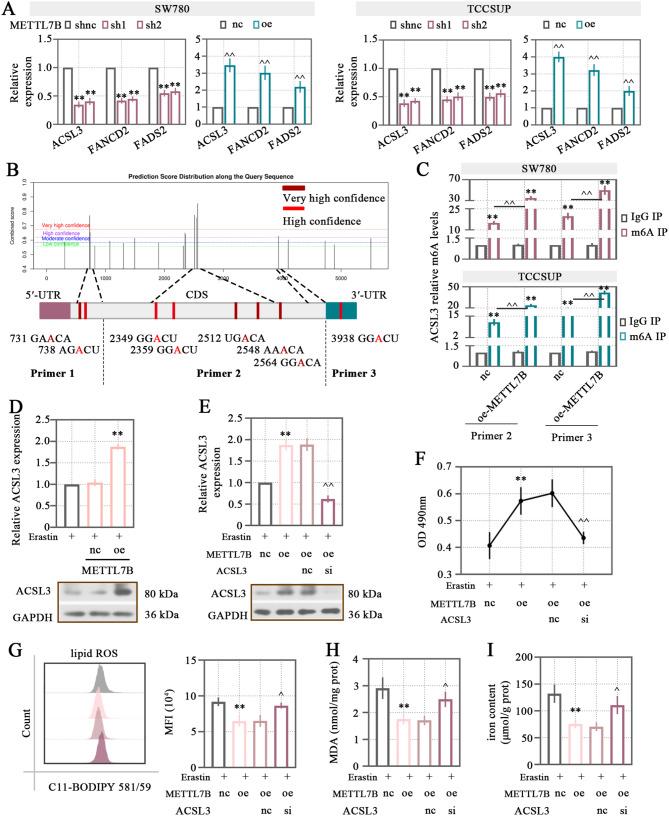 https://cdn.ncbi.nlm.nih.gov/pmc/blobs/31a9/11744867/c6eac6322da6/13062_2025_597_Fig4_HTML.jpg