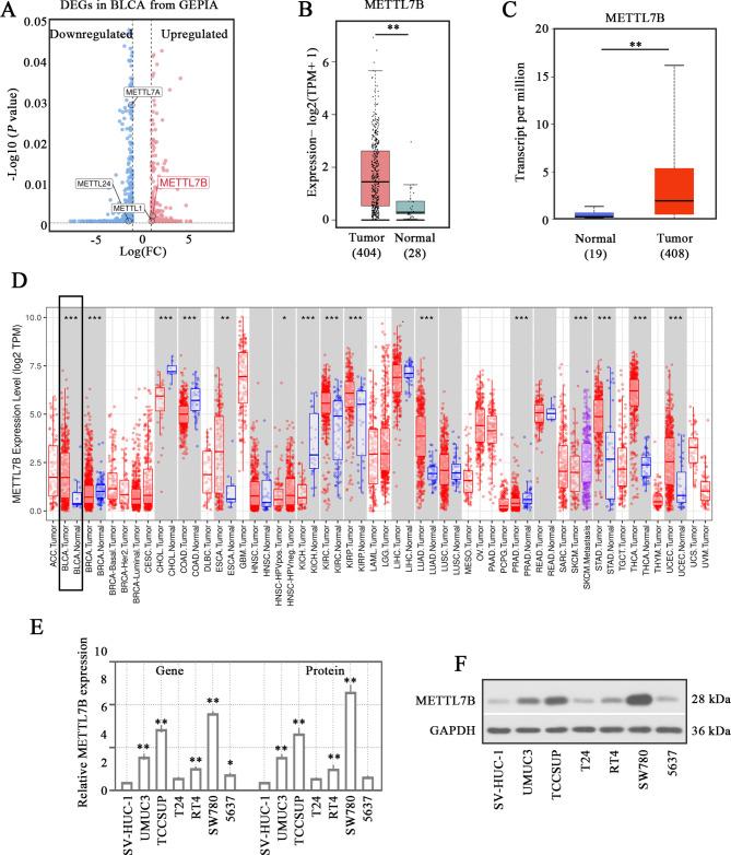 https://cdn.ncbi.nlm.nih.gov/pmc/blobs/31a9/11744867/cbed4a1f50fc/13062_2025_597_Fig1_HTML.jpg