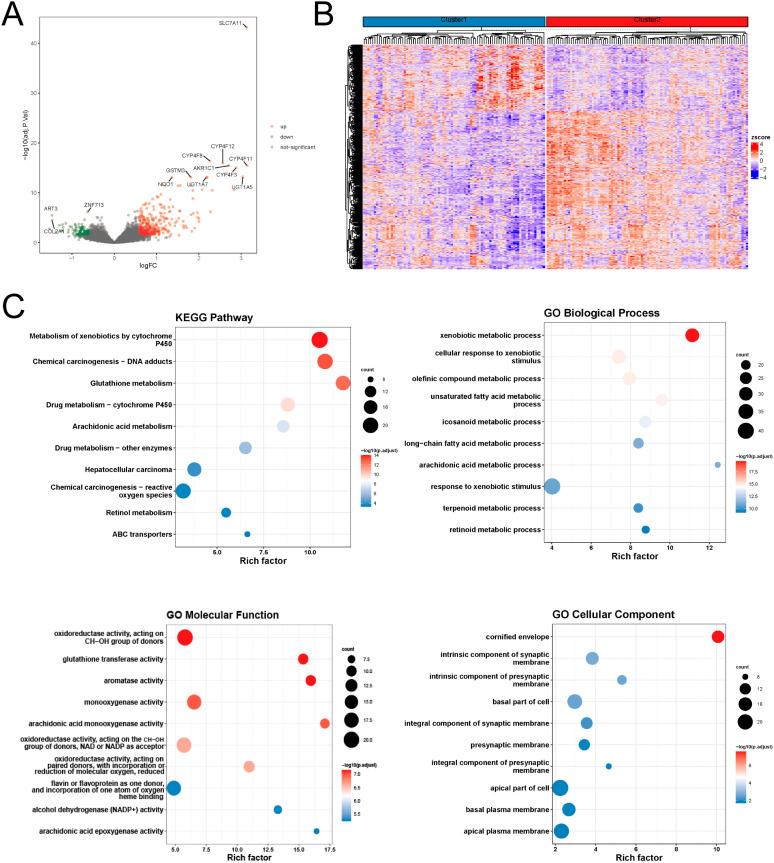 https://cdn.ncbi.nlm.nih.gov/pmc/blobs/31ab/12037556/55067e7e4de5/fimmu-16-1567793-g002.jpg