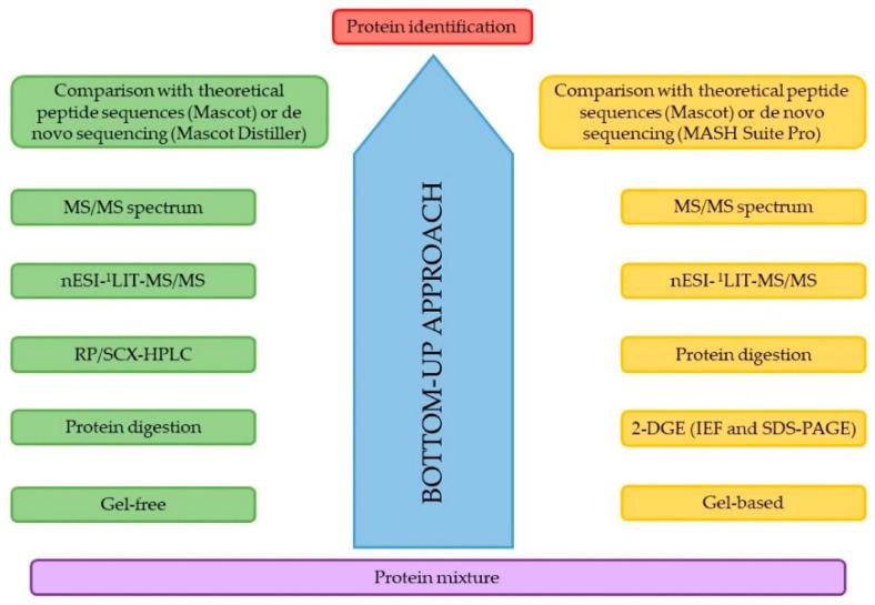 https://cdn.ncbi.nlm.nih.gov/pmc/blobs/31ad/8401599/26d91df3296d/molecules-26-04924-g001.jpg