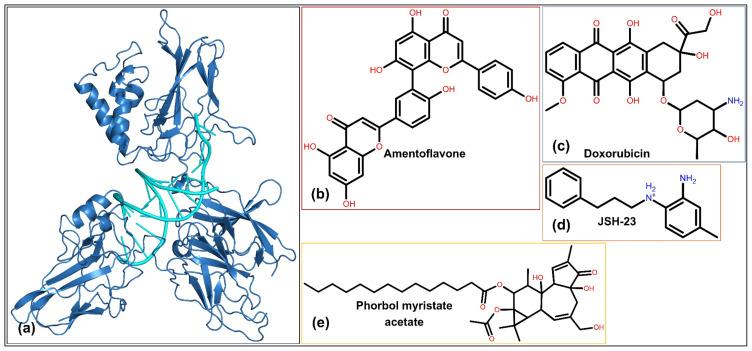 https://cdn.ncbi.nlm.nih.gov/pmc/blobs/31ae/12228500/2e400ffa0632/JIR-18-8657-g0010.jpg