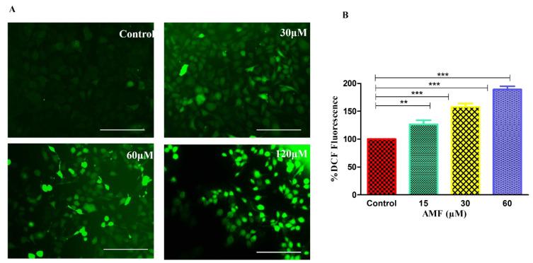 https://cdn.ncbi.nlm.nih.gov/pmc/blobs/31ae/12228500/4d0de650e622/JIR-18-8657-g0004.jpg
