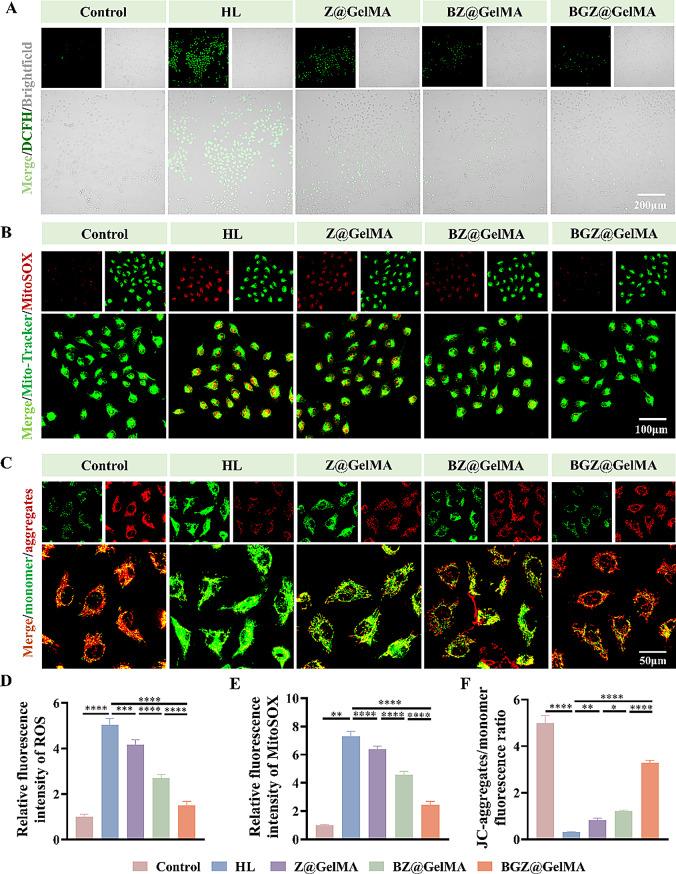 https://cdn.ncbi.nlm.nih.gov/pmc/blobs/31af/12087252/5d5bcecef1ce/12951_2025_3427_Fig4_HTML.jpg