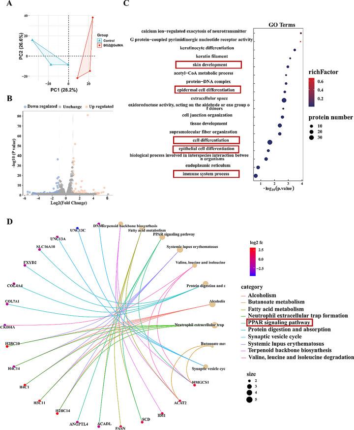 https://cdn.ncbi.nlm.nih.gov/pmc/blobs/31af/12087252/791e219cbf20/12951_2025_3427_Fig7_HTML.jpg