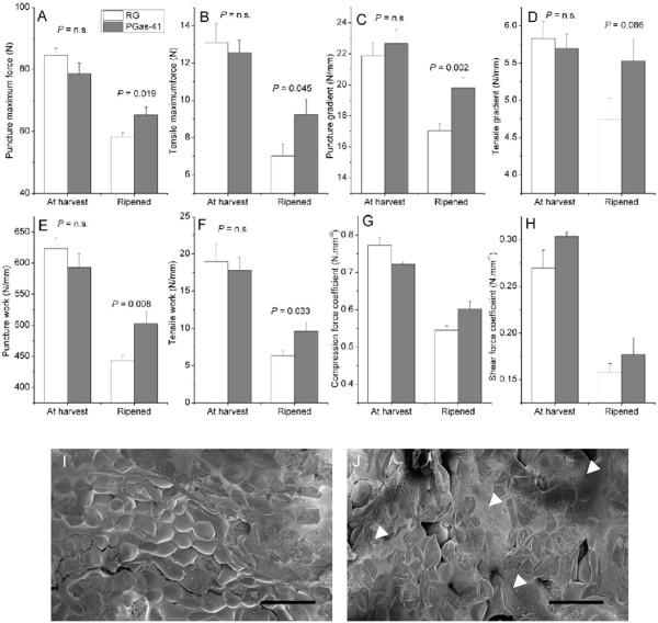 https://cdn.ncbi.nlm.nih.gov/pmc/blobs/31af/3509026/b7c38b7985f8/1471-2229-12-129-7.jpg