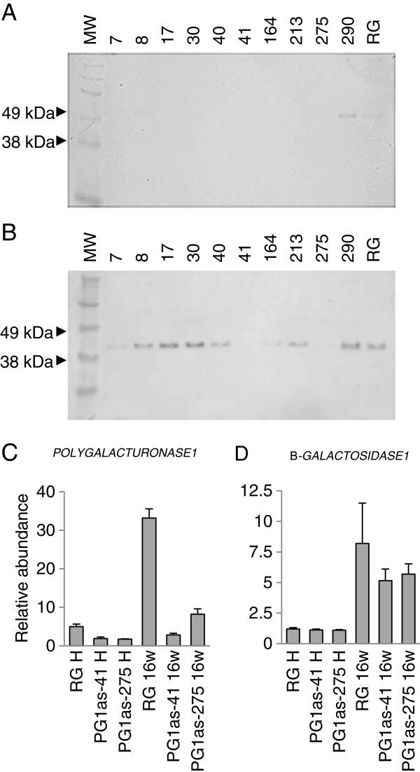 https://cdn.ncbi.nlm.nih.gov/pmc/blobs/31af/3509026/e8acbe7cb4b4/1471-2229-12-129-2.jpg