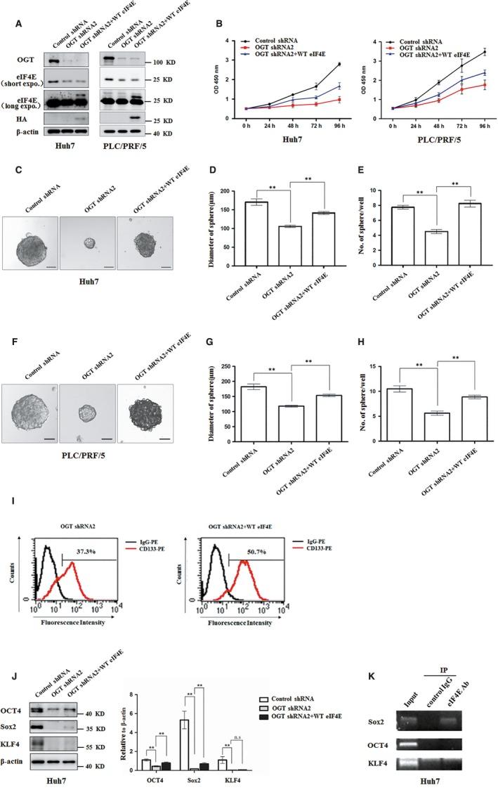 https://cdn.ncbi.nlm.nih.gov/pmc/blobs/31af/6433694/0f0c6825063f/JCMM-23-2384-g006.jpg
