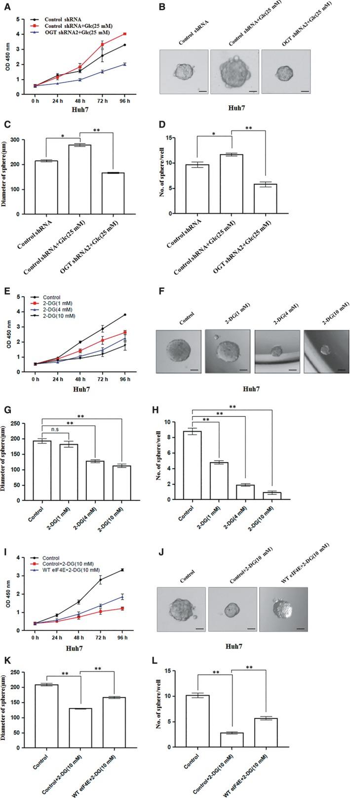 https://cdn.ncbi.nlm.nih.gov/pmc/blobs/31af/6433694/15910f86a43f/JCMM-23-2384-g007.jpg