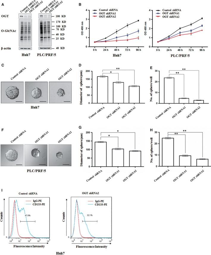 https://cdn.ncbi.nlm.nih.gov/pmc/blobs/31af/6433694/457d52b878d7/JCMM-23-2384-g002.jpg