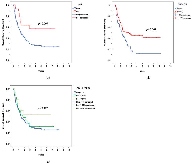 https://cdn.ncbi.nlm.nih.gov/pmc/blobs/31b0/9954851/cb54ada8b642/curroncol-30-00111-g004.jpg