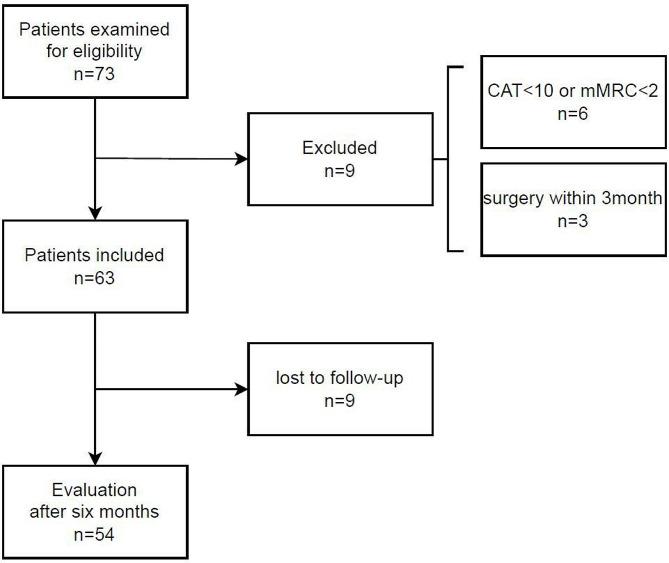 https://cdn.ncbi.nlm.nih.gov/pmc/blobs/31b1/11067242/713dcb389b4b/12890_2024_3034_Fig1_HTML.jpg