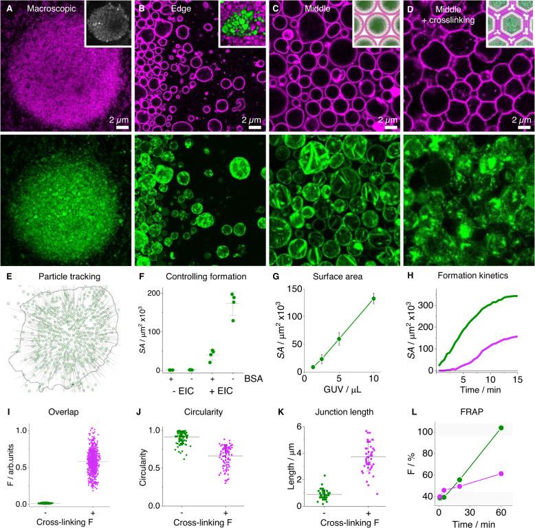 https://cdn.ncbi.nlm.nih.gov/pmc/blobs/31b3/10006096/76853c03e701/41467_2023_36875_Fig5_HTML.jpg