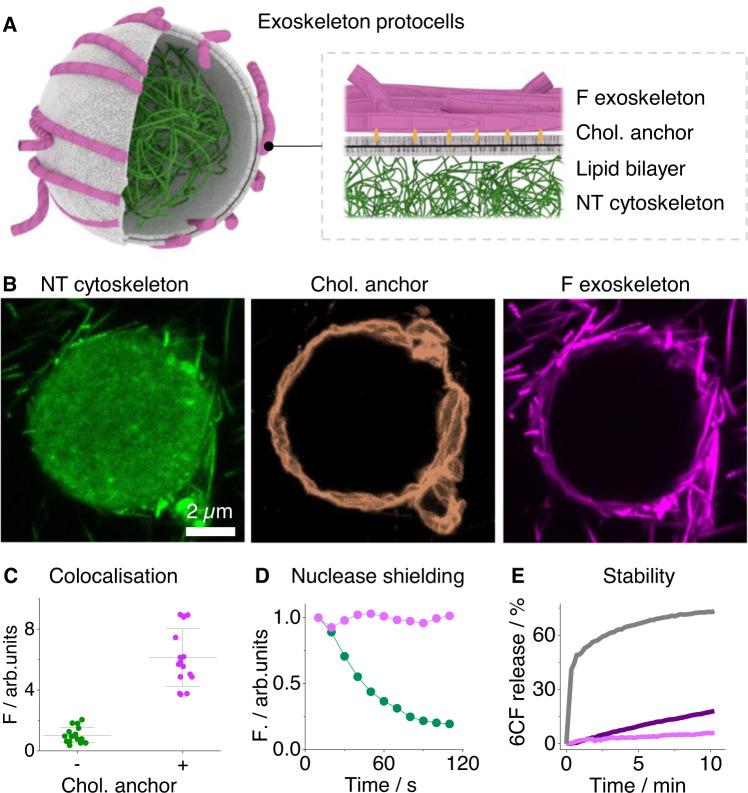 https://cdn.ncbi.nlm.nih.gov/pmc/blobs/31b3/10006096/80a58ded81f8/41467_2023_36875_Fig4_HTML.jpg