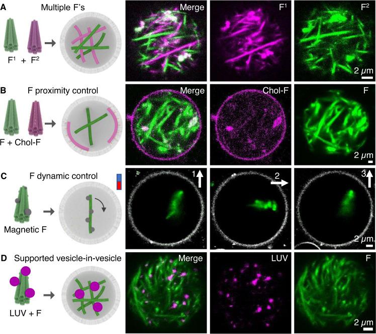 https://cdn.ncbi.nlm.nih.gov/pmc/blobs/31b3/10006096/fa6c702e431e/41467_2023_36875_Fig3_HTML.jpg