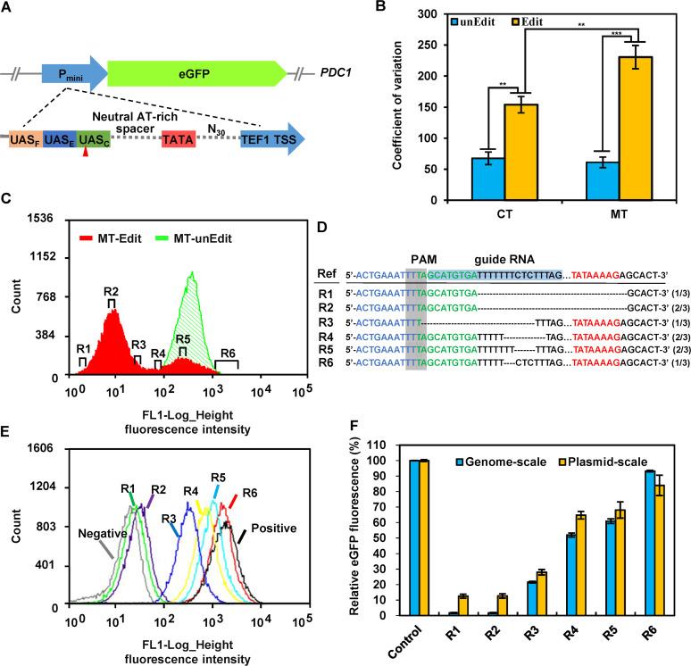 https://cdn.ncbi.nlm.nih.gov/pmc/blobs/31b3/9045378/966446fec7e8/spectrum.02326-21-f006.jpg