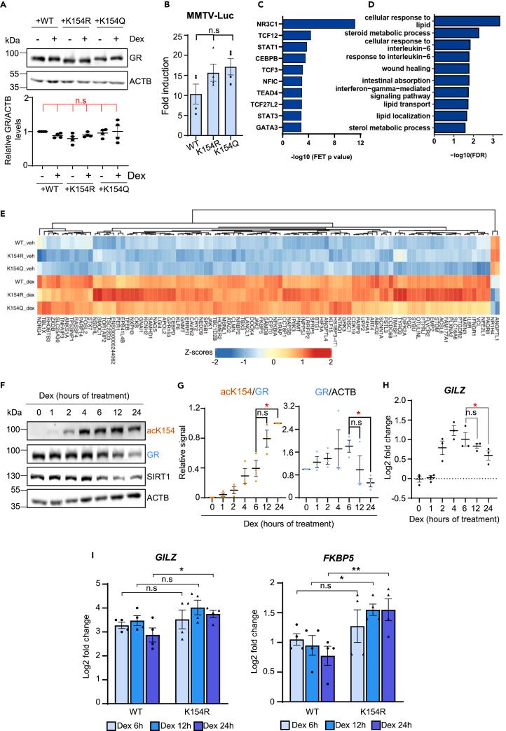 https://cdn.ncbi.nlm.nih.gov/pmc/blobs/31b4/10850750/1afc0626b893/gr4.jpg