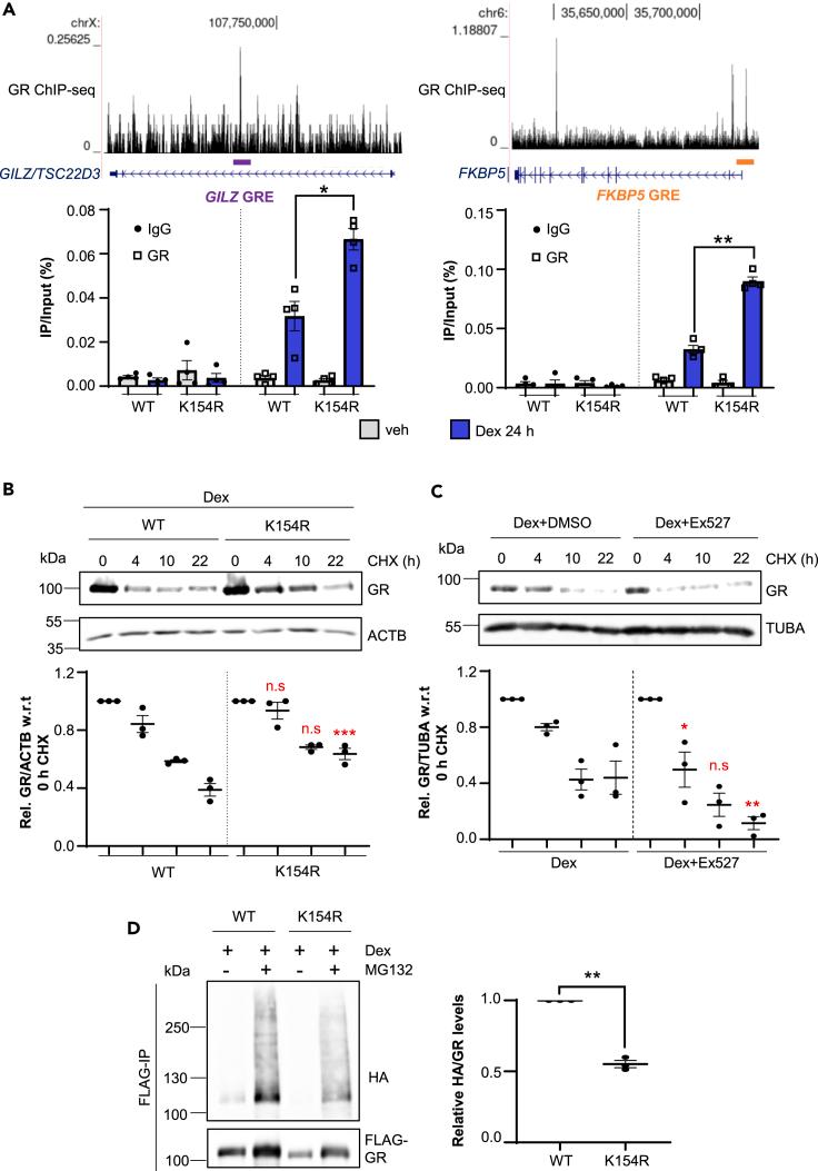 https://cdn.ncbi.nlm.nih.gov/pmc/blobs/31b4/10850750/1baa37316fa5/gr5.jpg