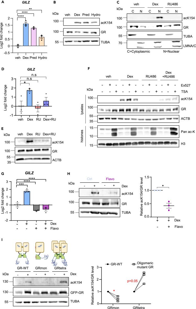 https://cdn.ncbi.nlm.nih.gov/pmc/blobs/31b4/10850750/6140e1a92234/gr3.jpg