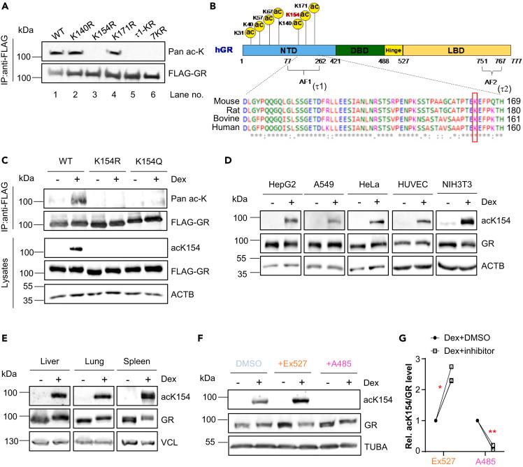https://cdn.ncbi.nlm.nih.gov/pmc/blobs/31b4/10850750/c4527dab562d/gr2.jpg