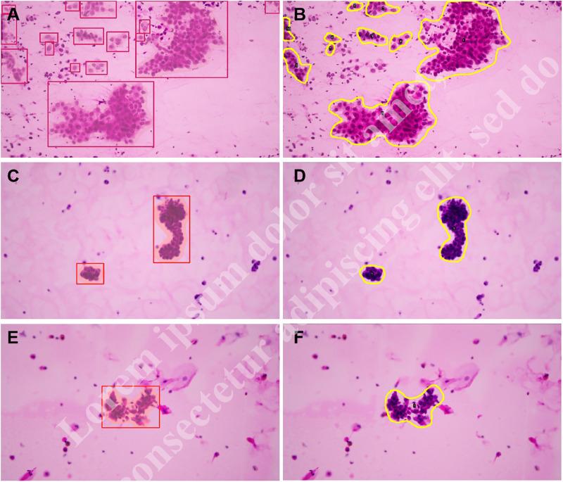 https://cdn.ncbi.nlm.nih.gov/pmc/blobs/31b6/11785301/70d78b6b061d/pone.0317996.g002.jpg