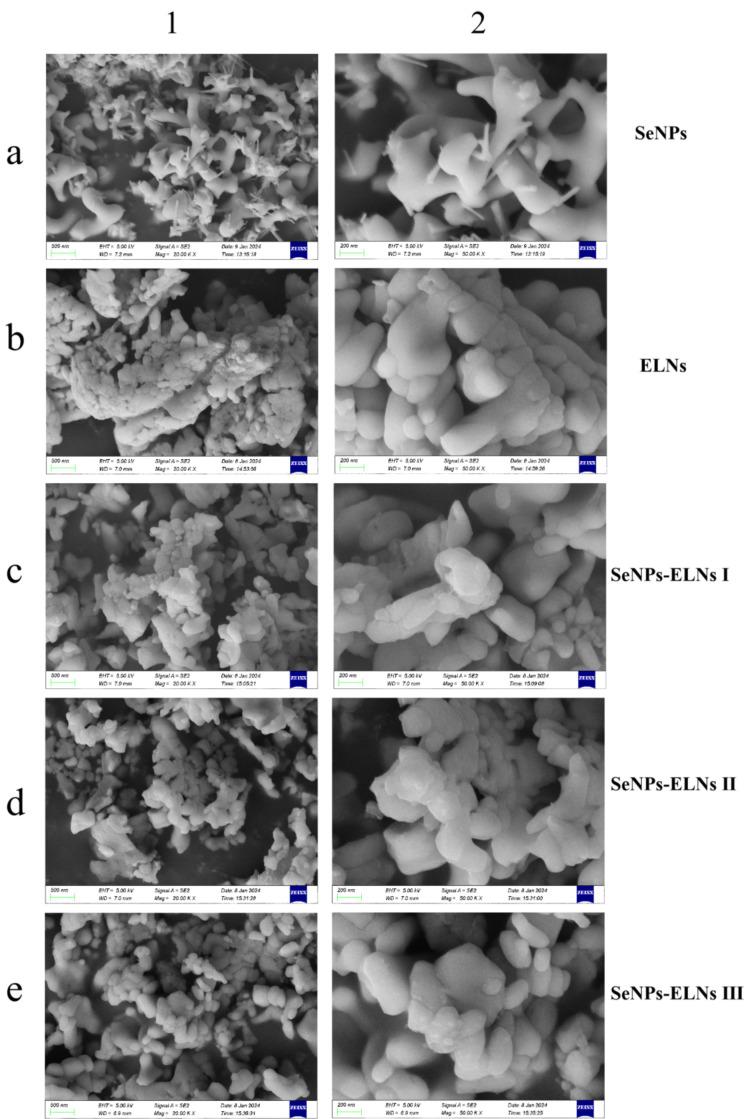https://cdn.ncbi.nlm.nih.gov/pmc/blobs/31b6/12346761/e6d5dcbbab71/foods-14-02724-g011.jpg