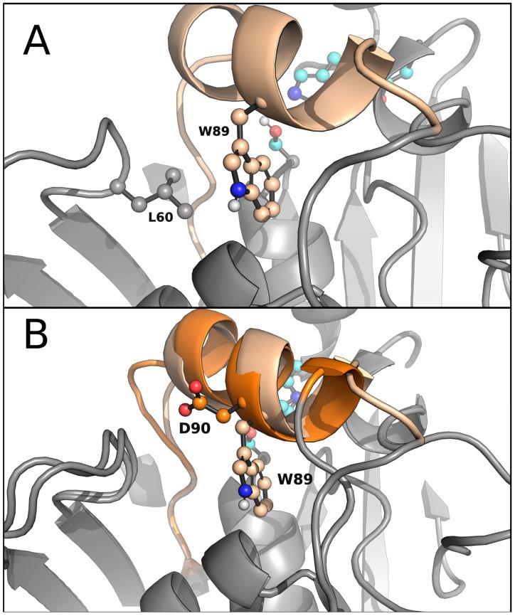 https://cdn.ncbi.nlm.nih.gov/pmc/blobs/31b7/10530837/7da7d0a18fd2/ijms-24-13768-g004.jpg