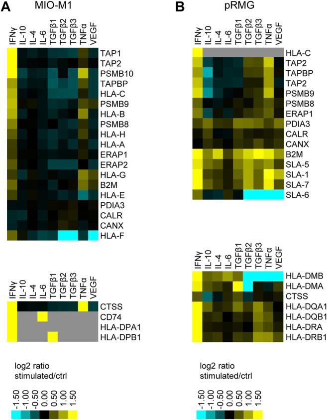https://cdn.ncbi.nlm.nih.gov/pmc/blobs/31b7/8585775/619b18641b6d/fphar-12-771571-g006.jpg