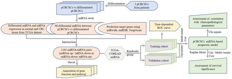 https://cdn.ncbi.nlm.nih.gov/pmc/blobs/31b8/8109135/08d5455f9fcb/aging-13-202914-g001.jpg