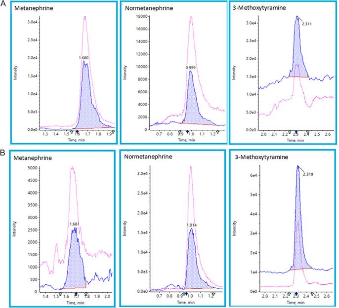 https://cdn.ncbi.nlm.nih.gov/pmc/blobs/31bd/12084818/7137c6537640/EC-25-0023fig1.jpg
