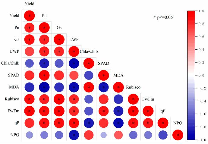 https://cdn.ncbi.nlm.nih.gov/pmc/blobs/31be/11677175/7f9e503a118c/plants-13-03464-g008.jpg
