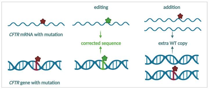 https://cdn.ncbi.nlm.nih.gov/pmc/blobs/31bf/9220995/82c59fc16995/cells-11-01868-g008.jpg