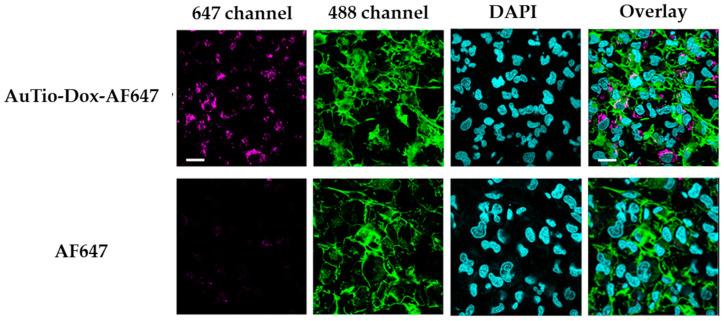 https://cdn.ncbi.nlm.nih.gov/pmc/blobs/31c0/11173746/0dd09285ada2/molecules-29-02469-g004.jpg