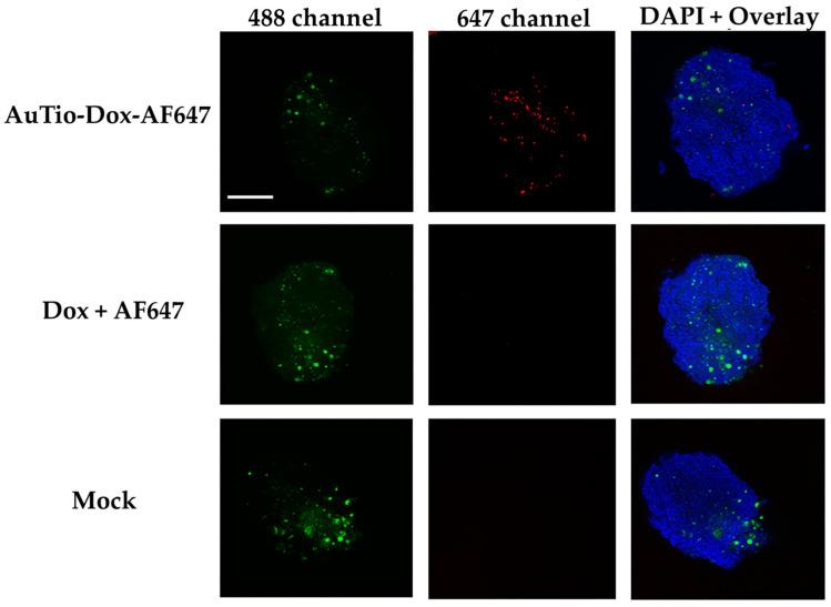 https://cdn.ncbi.nlm.nih.gov/pmc/blobs/31c0/11173746/fa8261cbf438/molecules-29-02469-g009.jpg