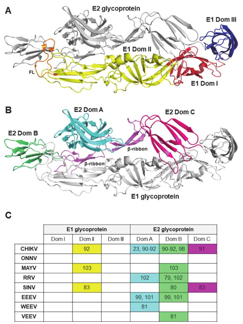 https://cdn.ncbi.nlm.nih.gov/pmc/blobs/31c1/8145166/1e0412cba9c5/microorganisms-09-00899-g001.jpg