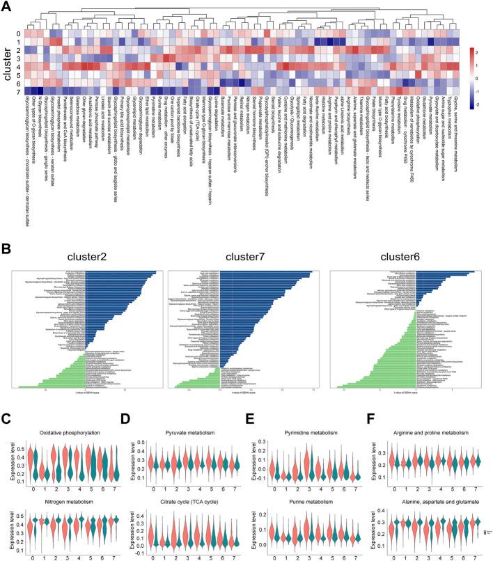 https://cdn.ncbi.nlm.nih.gov/pmc/blobs/31c1/9729336/7f2ce5090705/fphys-13-1050690-g006.jpg