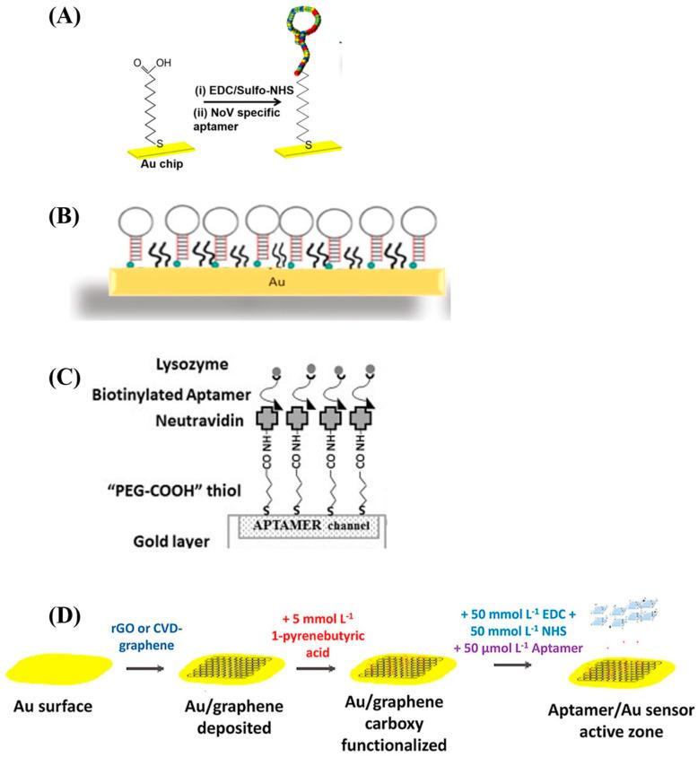 https://cdn.ncbi.nlm.nih.gov/pmc/blobs/31c2/12190323/3fe21290bad3/biosensors-15-00359-g003.jpg
