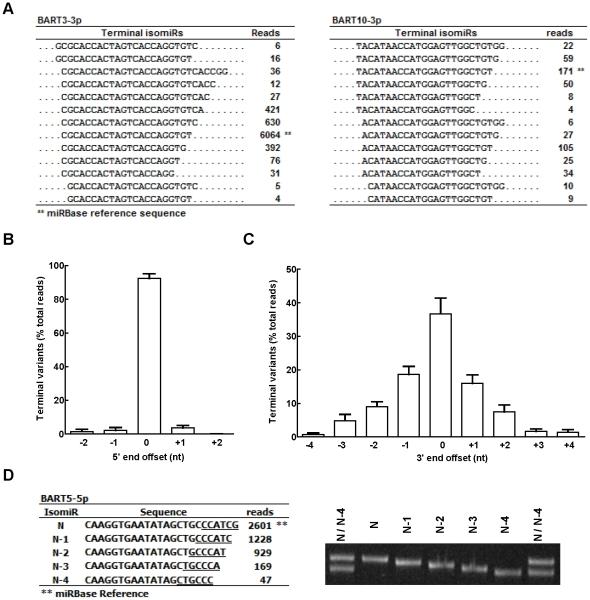https://cdn.ncbi.nlm.nih.gov/pmc/blobs/31c2/2942828/0aff632c2fbb/pone.0012745.g003.jpg