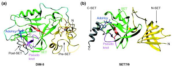 https://cdn.ncbi.nlm.nih.gov/pmc/blobs/31c5/1273623/e1d1988c298f/gb-2005-6-8-227-3.jpg