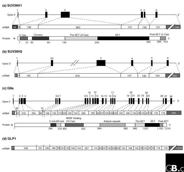 https://cdn.ncbi.nlm.nih.gov/pmc/blobs/31c5/1273623/ef043691577c/gb-2005-6-8-227-2.jpg