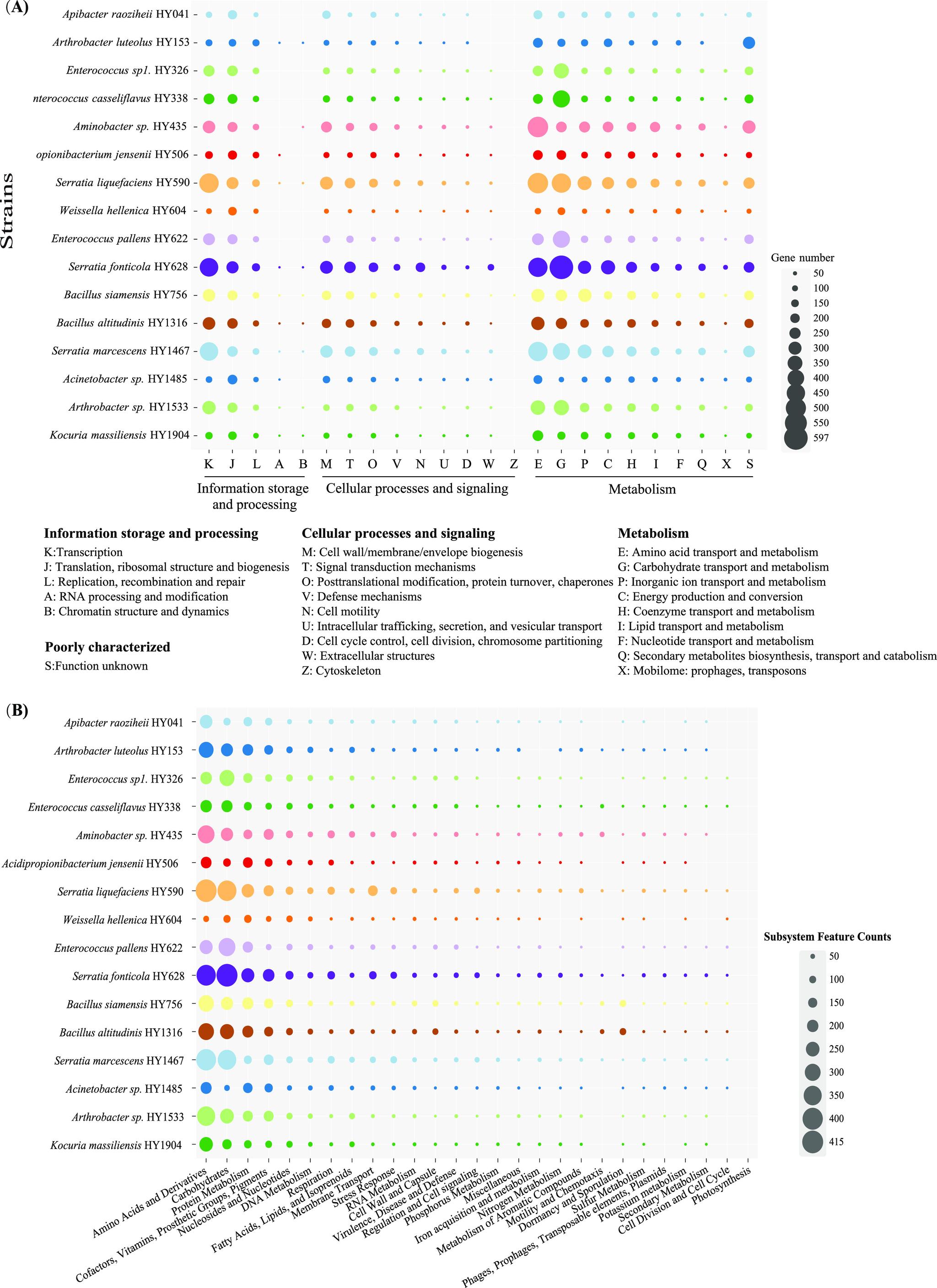 https://cdn.ncbi.nlm.nih.gov/pmc/blobs/31c5/9769573/4c484d7f4e75/spectrum.01802-22-f004.jpg